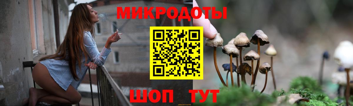 Тулун  Галлюциногенные грибы Cubensis  Вход с VPN 